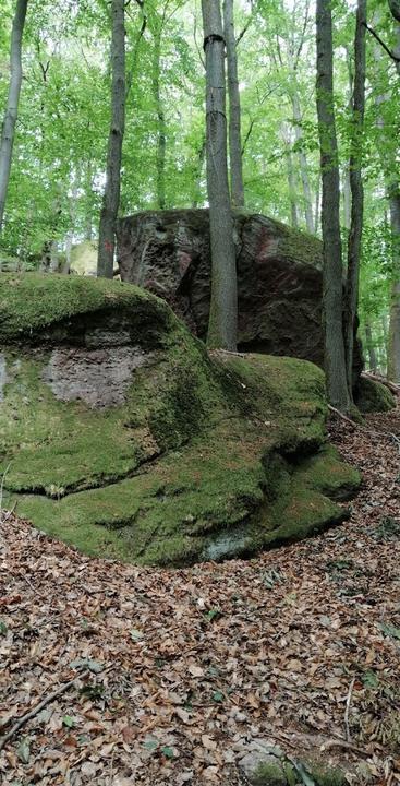 Pfälzer Wald Verein Dahn